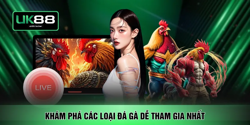 Khám phá các trường đấu gà kịch tính nhất