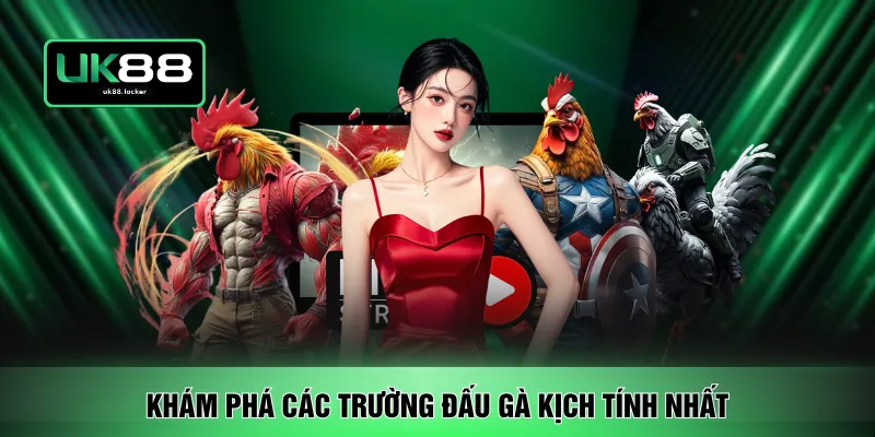 Khám phá các loại đá gà dễ tham gia nhất