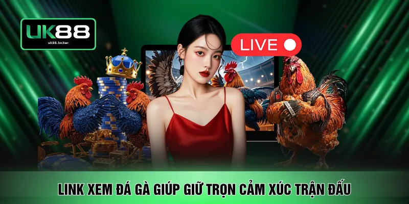 Link xem đá gà giúp giữ trọn cảm xúc trận đấu