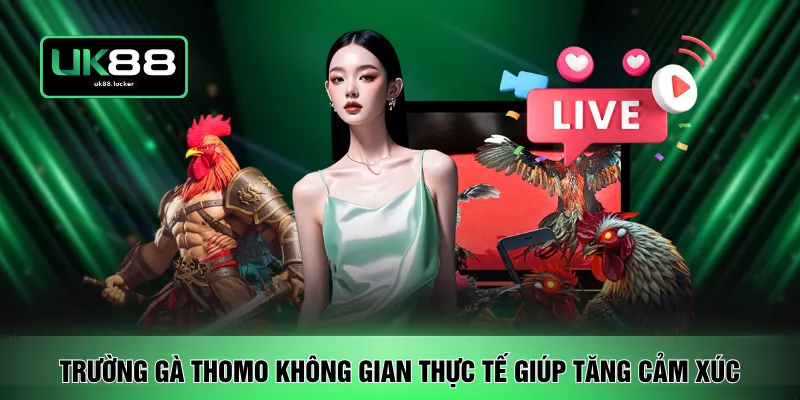 Trường gà Thomo không gian thực tế giúp tăng cảm xúc